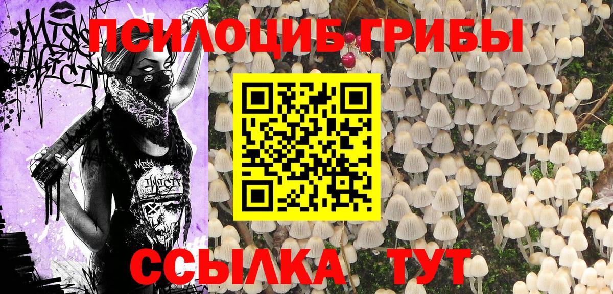 Псилоцибиновые грибы прущие грибы  Галлюциногенные грибы Magic Shrooms  наркотики  Вход с VPN  Кимовск 